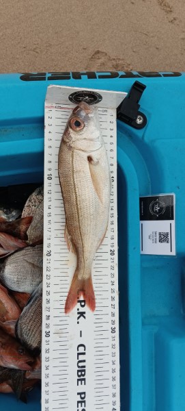 Fish Measure Picture
